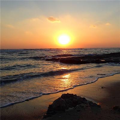 365best体育官网入口