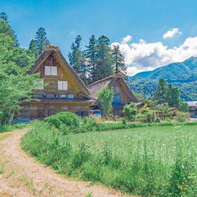 金沙集团186cc成色